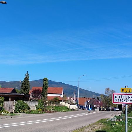 Gite Le Marronnier - Au Calme - Parking & Terrasse - Pres De Colmar Et Riquewihr - Route Des Vins Chatenois  Exterior photo