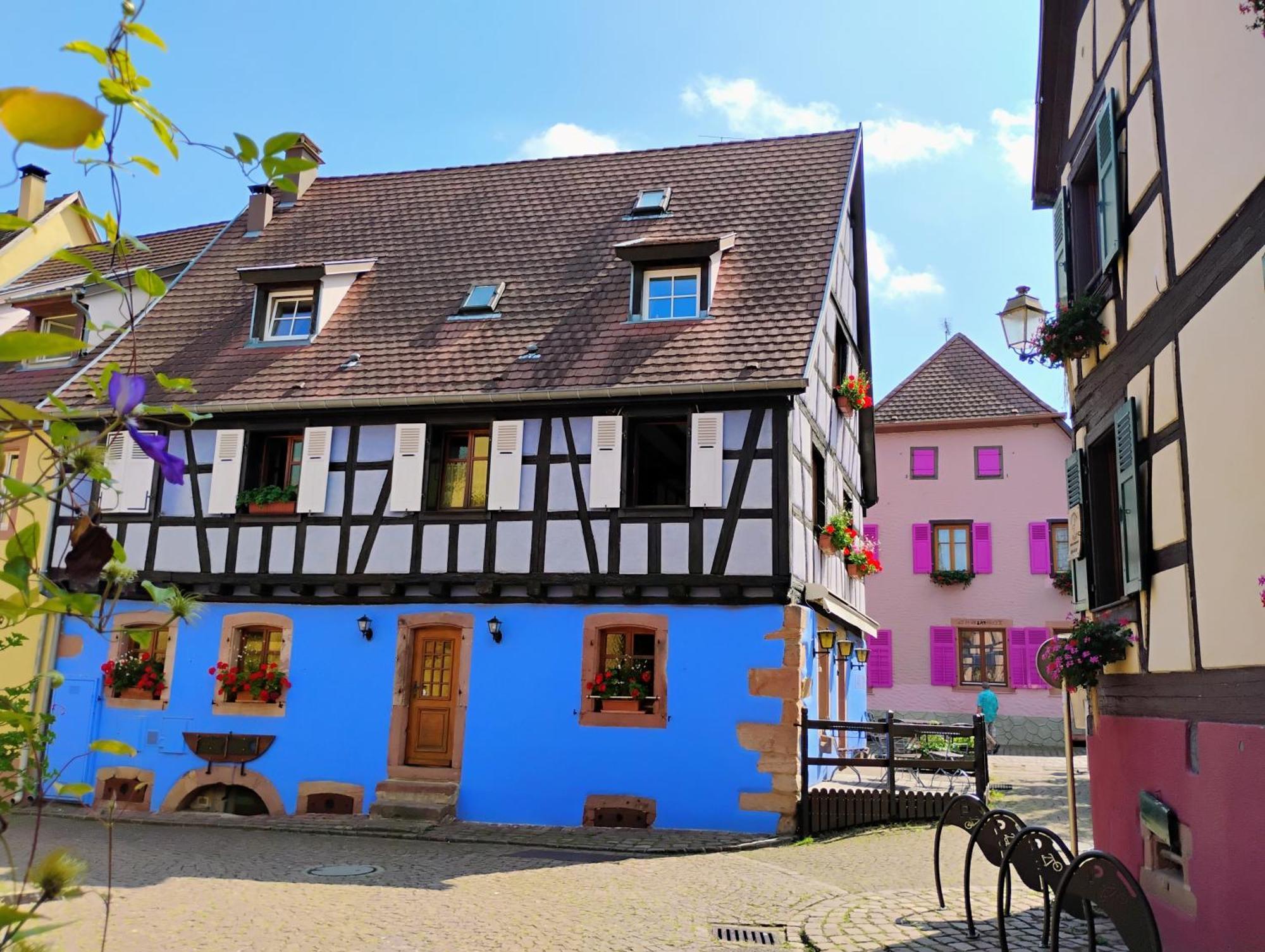 Gite Le Marronnier - Au Calme - Parking & Terrasse - Pres De Colmar Et Riquewihr - Route Des Vins Chatenois  Exterior photo