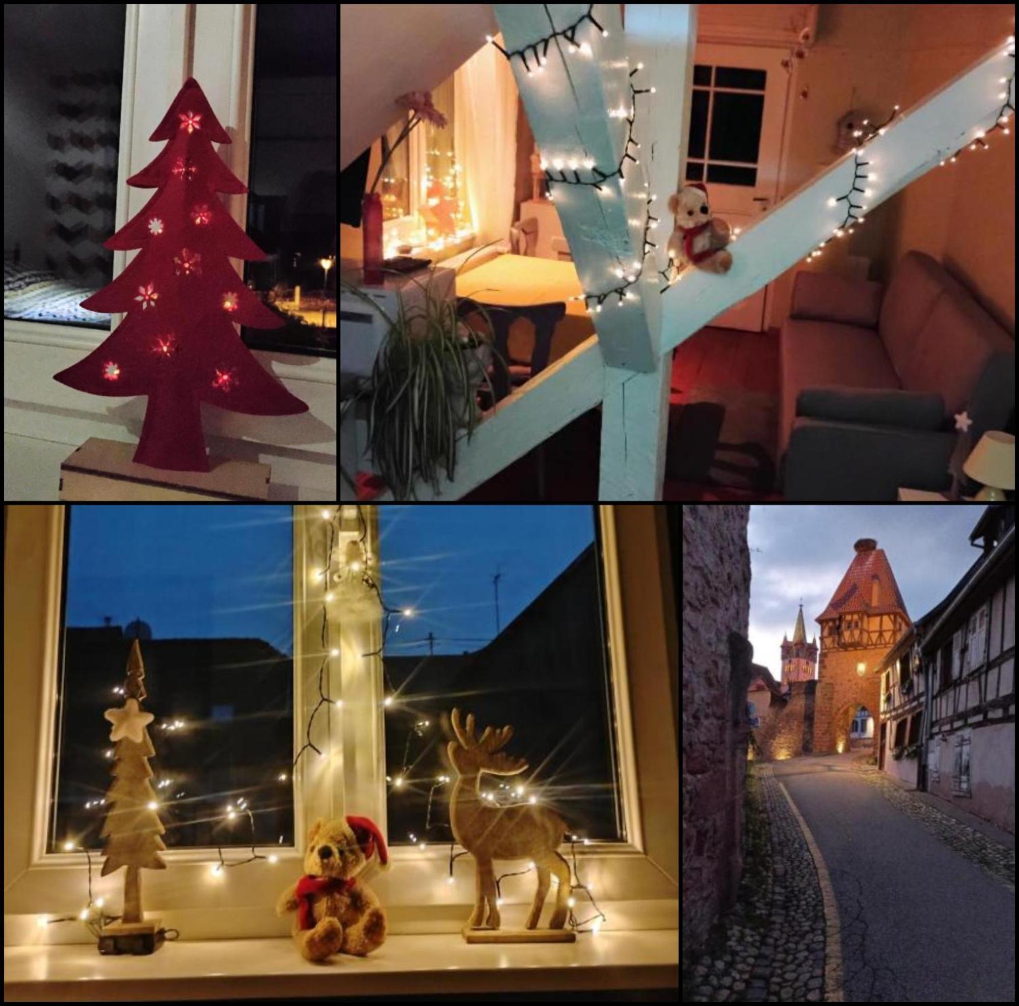 Gite Le Marronnier - Au Calme - Parking & Terrasse - Pres De Colmar Et Riquewihr - Route Des Vins Chatenois  Exterior photo