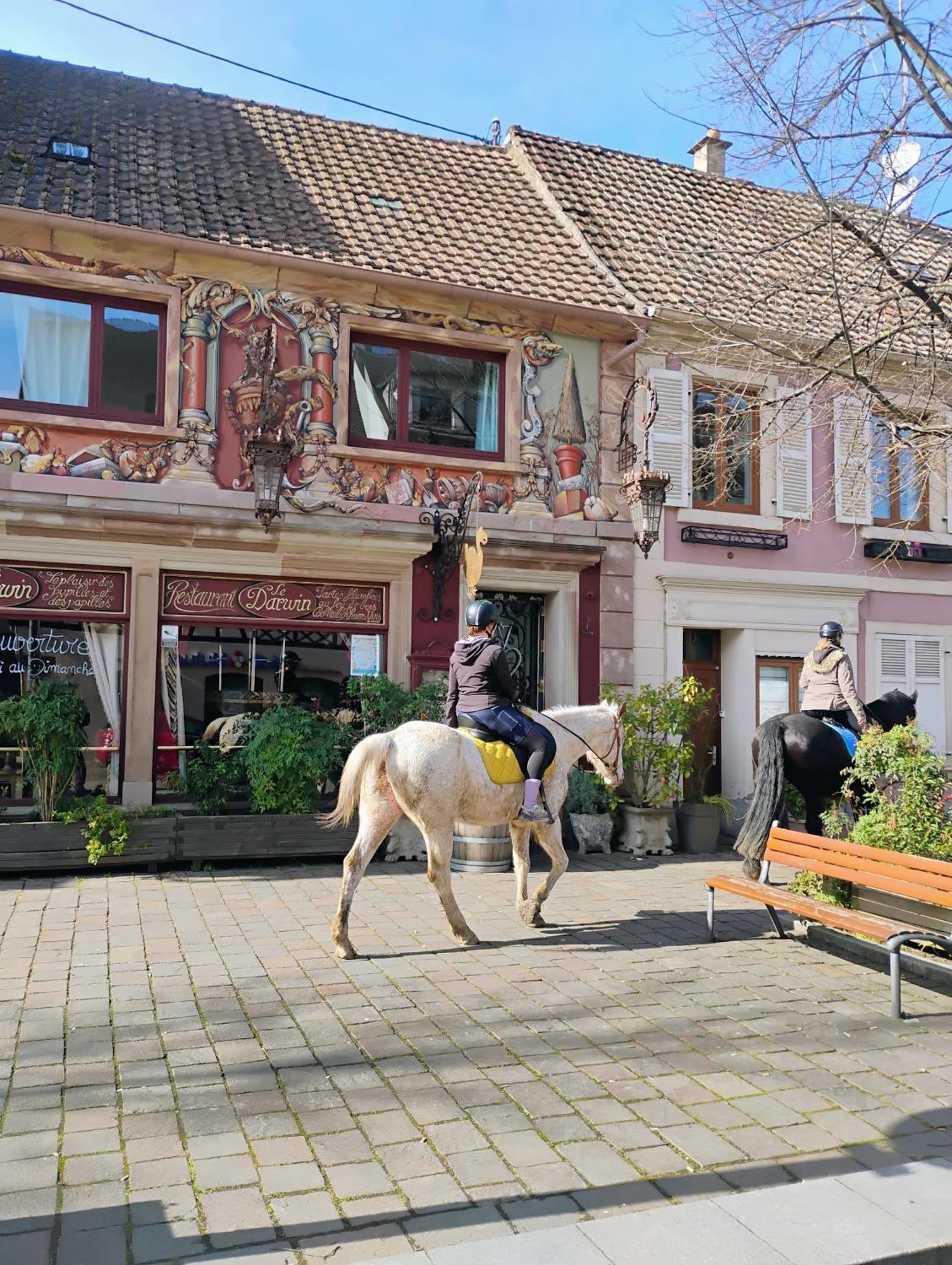 Gite Le Marronnier - Au Calme - Parking & Terrasse - Pres De Colmar Et Riquewihr - Route Des Vins Chatenois  Exterior photo