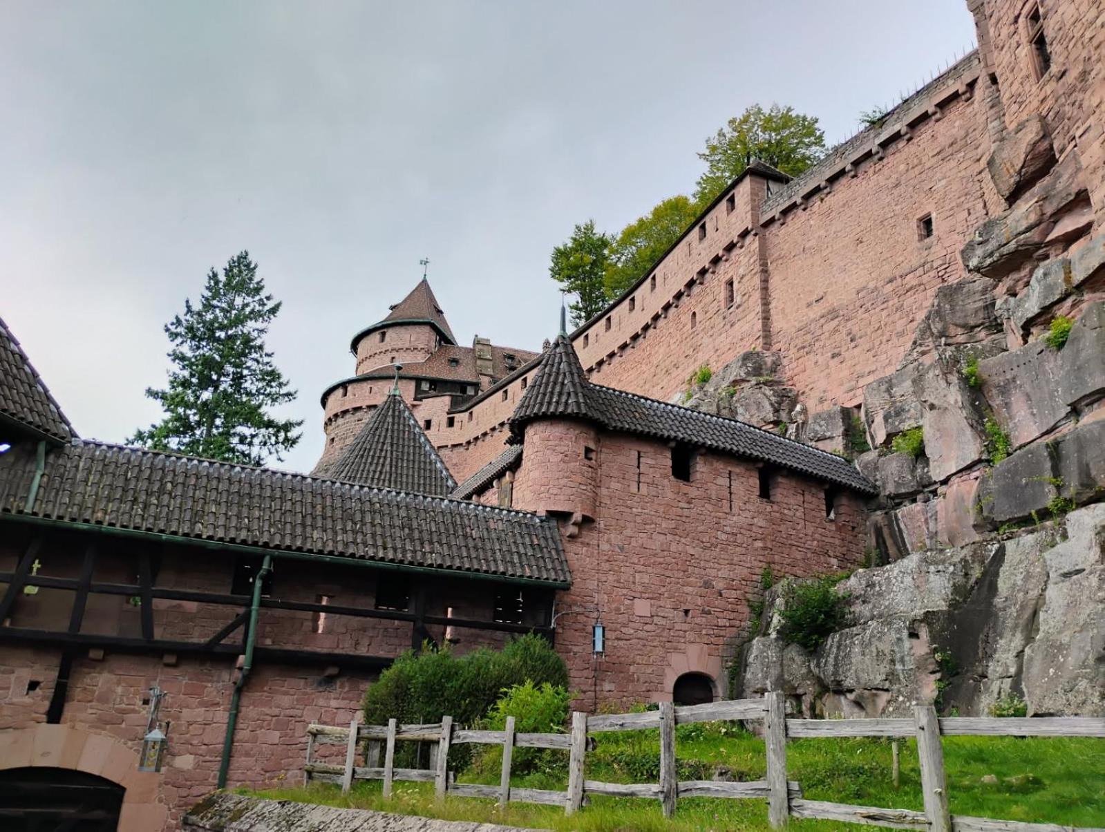 Gite Le Marronnier - Au Calme - Parking & Terrasse - Pres De Colmar Et Riquewihr - Route Des Vins Chatenois  Exterior photo