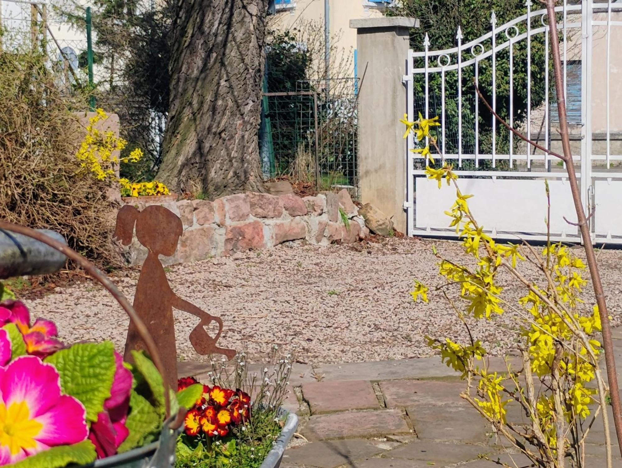 Gite Le Marronnier - Au Calme - Parking & Terrasse - Pres De Colmar Et Riquewihr - Route Des Vins Chatenois  Exterior photo