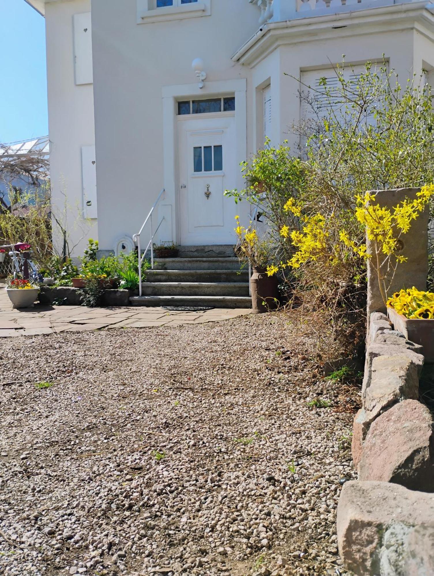 Gite Le Marronnier - Au Calme - Parking & Terrasse - Pres De Colmar Et Riquewihr - Route Des Vins Chatenois  Exterior photo